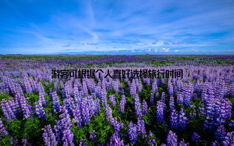 游客可根据个人喜好选择旅行时间