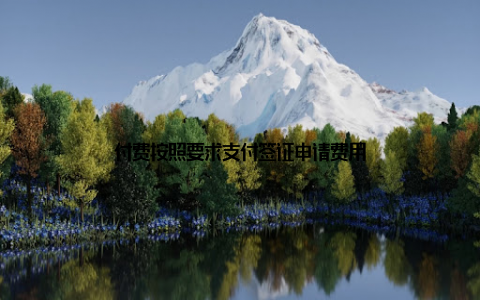 付费按照要求支付签证申请费用