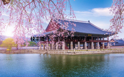 快来厦门, 感受南国的魅力吧!