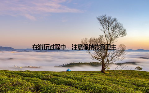 在游玩过程中, 注意保持饮食卫生