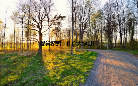 品尝烧鸡, 让你大饱口福