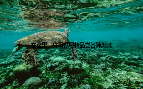 在这里, 你可以尽情品尝各种美味