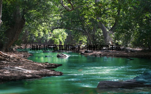 海鲜山东省靠近海洋, 海鲜资源丰富