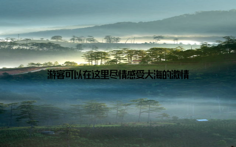 游客可以在这里尽情感受大海的激情