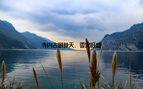 寺内古树参天, 香火旺盛