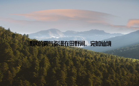 清晨的雾气弥漫在田野间, 宛如仙境