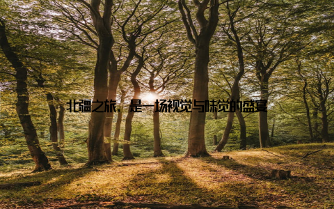 北疆之旅, 是一场视觉与味觉的盛宴