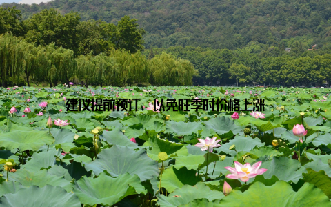 建议提前预订, 以免旺季时价格上涨